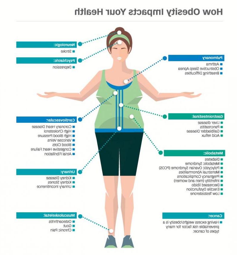 说明肥胖如何影响你的健康
